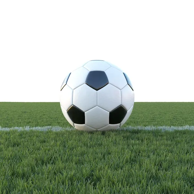 企鹅体育 体育赛事背景